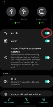 Screenshot_20241020_201933_Settings.jpg