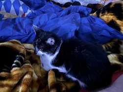 IMG_7389.jpeg