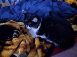 20241021_020305.jpeg