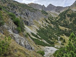 20241019_121907.jpg