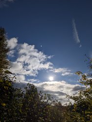 PXL_20241022_084023872.jpg