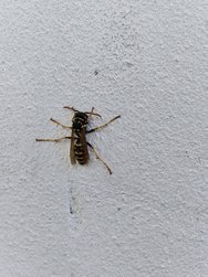 20241022_154156.jpg