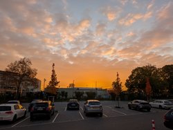 PXL_20241023_062927071.jpg