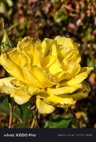 IMG_20241023_130840.jpg