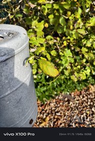 IMG_20241023_130524.jpg