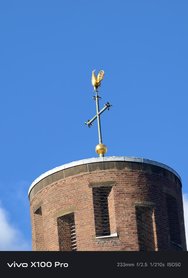 Bild1-x100pro-10x.jpg