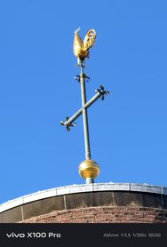 Bild1-x100pro-20x.jpg