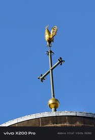 Bild1-x200pro-20x.jpg