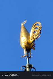 Bild1-x100pro-60x.jpg