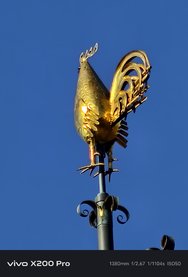 Bild1-x200pro-60x.jpg
