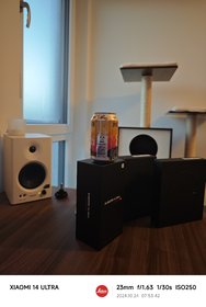 IMG_20241024_075342.jpg