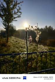 IMG_20241024_092244.jpg