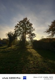 IMG_20241024_090748.jpg
