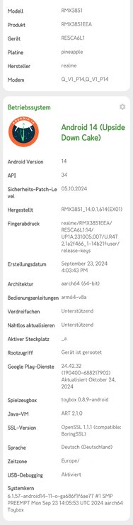 RMX3851_11_A.34 EEA.jpg