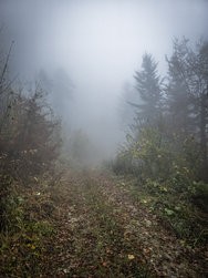 20241023_121740_RAW24MP.jpg