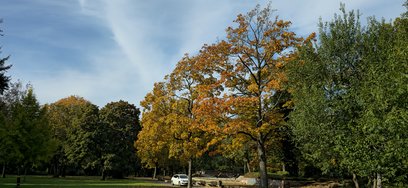20241018_110447.jpg