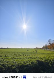 IMG_20241025_062648.jpg