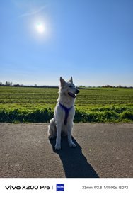 IMG_20241024_135044.jpg