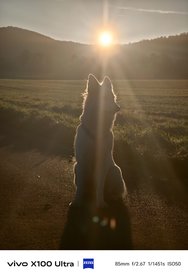IMG_20241025_063218.jpg
