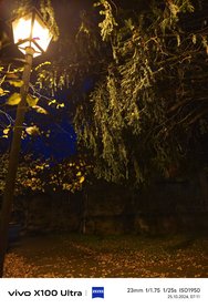 IMG_20241025_071138.jpg