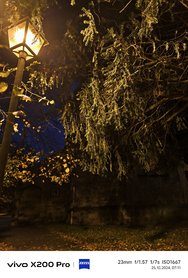 IMG_20241025_071107.jpg