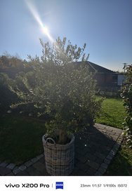 IMG_20241025_104910.jpg