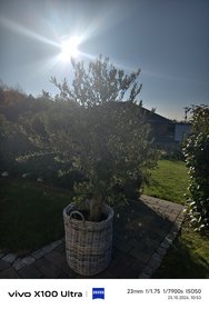 IMG_20241025_105332.jpg