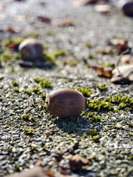 IMG_20241025_142606.jpg