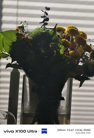 IMG_20241025_125220.jpg