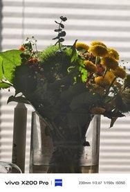 IMG_20241025_125318.jpg