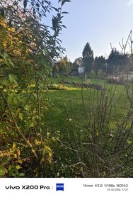 IMG_20241025_172059.jpg