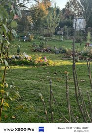 IMG_20241025_172103.jpg