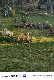 IMG_20241025_172105.jpg