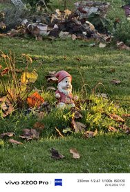 IMG_20241025_172108.jpg