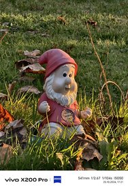 IMG_20241025_172112.jpg