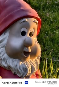 IMG_20241025_172122.jpg