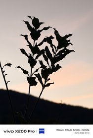 IMG_20241026_075107.jpg