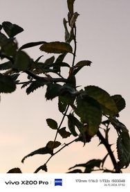 IMG_20241026_075210.jpg