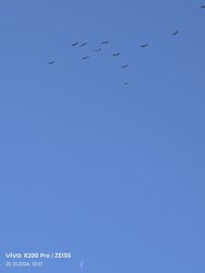 1000002342.jpg