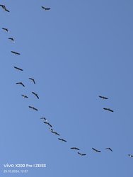 1000002341.jpg