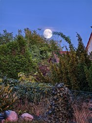 IMG_20241016_183825.jpg