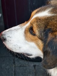 IMG_20241026_142738.jpg