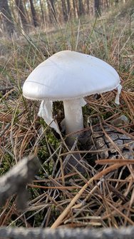 PXL_20241026_120150190.jpg