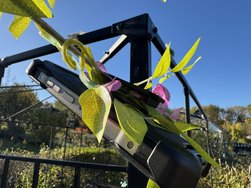 Aufgehangen Gürtelclip.JPG Aufgehangen Gürtelclip.JPG