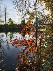 IMG_20241026_163909.jpg