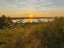 IMG_20241026_173552.jpg