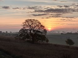 20241027_070925448.JPG