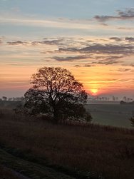 20241027_070941477~2.JPG