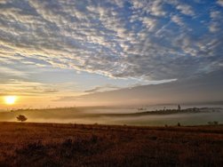 20241027_072522106~2.JPG