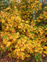 20241026_102415.JPG